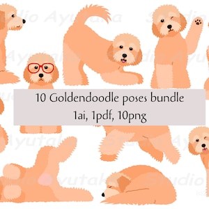 10 Goldendoodle pone bundle, png, ai, pdf, illustrazione, disegno digitale, fatto a mano