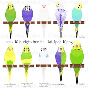 10 types of Budgie bundle, ai, pdf, png