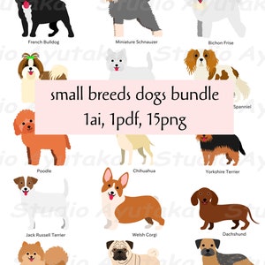 small dogs breed bundle, png, ai, pdf