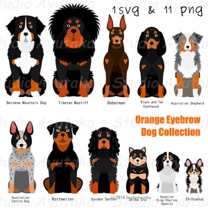 orange eyebrow dog collection, svg, png, handmade, illustration, digital drawing