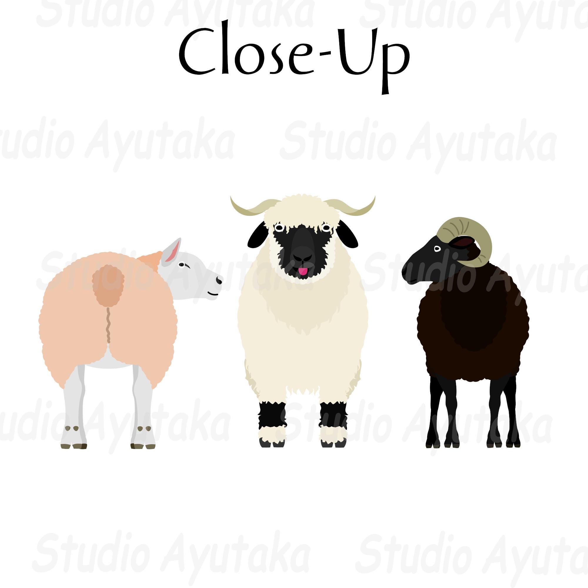 Buy Sheep Breeds S~Z Bundle, Ai, Pdf, Png Online in India - Etsy