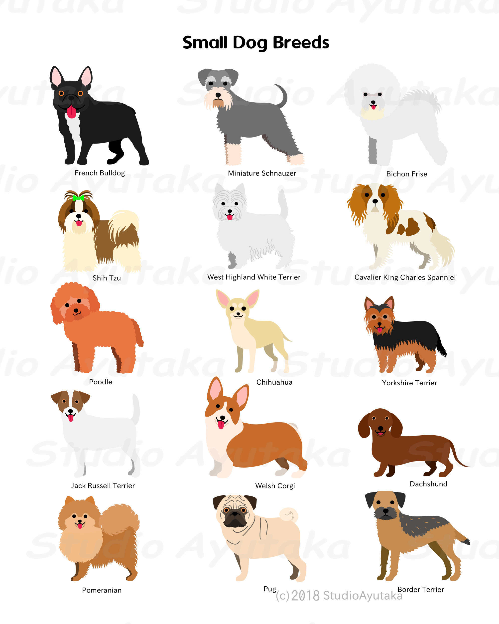 Small Dog Breeds Chart Svg Png Jpg 1620 - Etsy