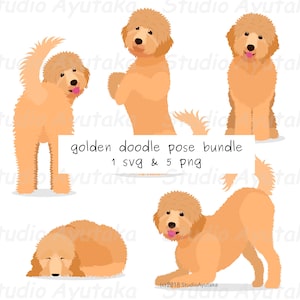 Goldendoodle Pose Bundle, SVG, PNG, Illustration, digitale Zeichnung, handgefertigt