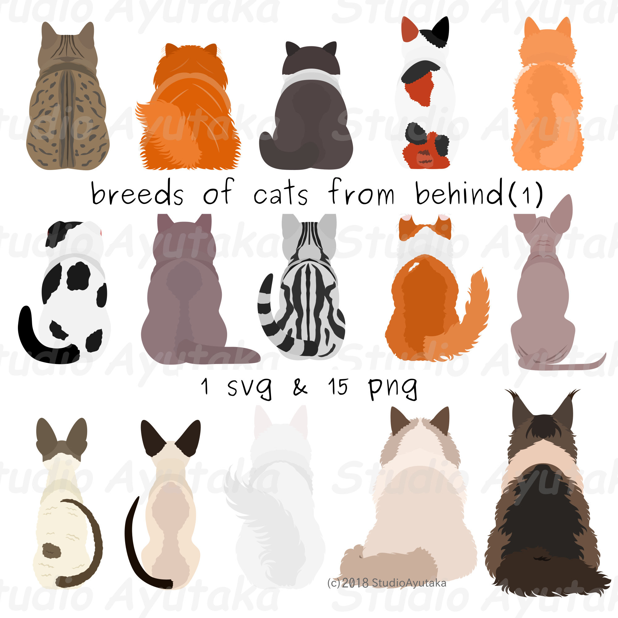 49 breeds of cats chart, svg, jpg, png, 16*20