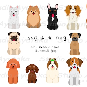 16 kleine Hunde sitzendes Set, SVG, PNG, handgefertigt, Illustration, digitale Zeichnung