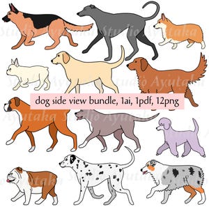 dog side view bundle(color), 1ai, 1pdf, 12png, walking dogs, 12 breeds, illustration, digital drawing