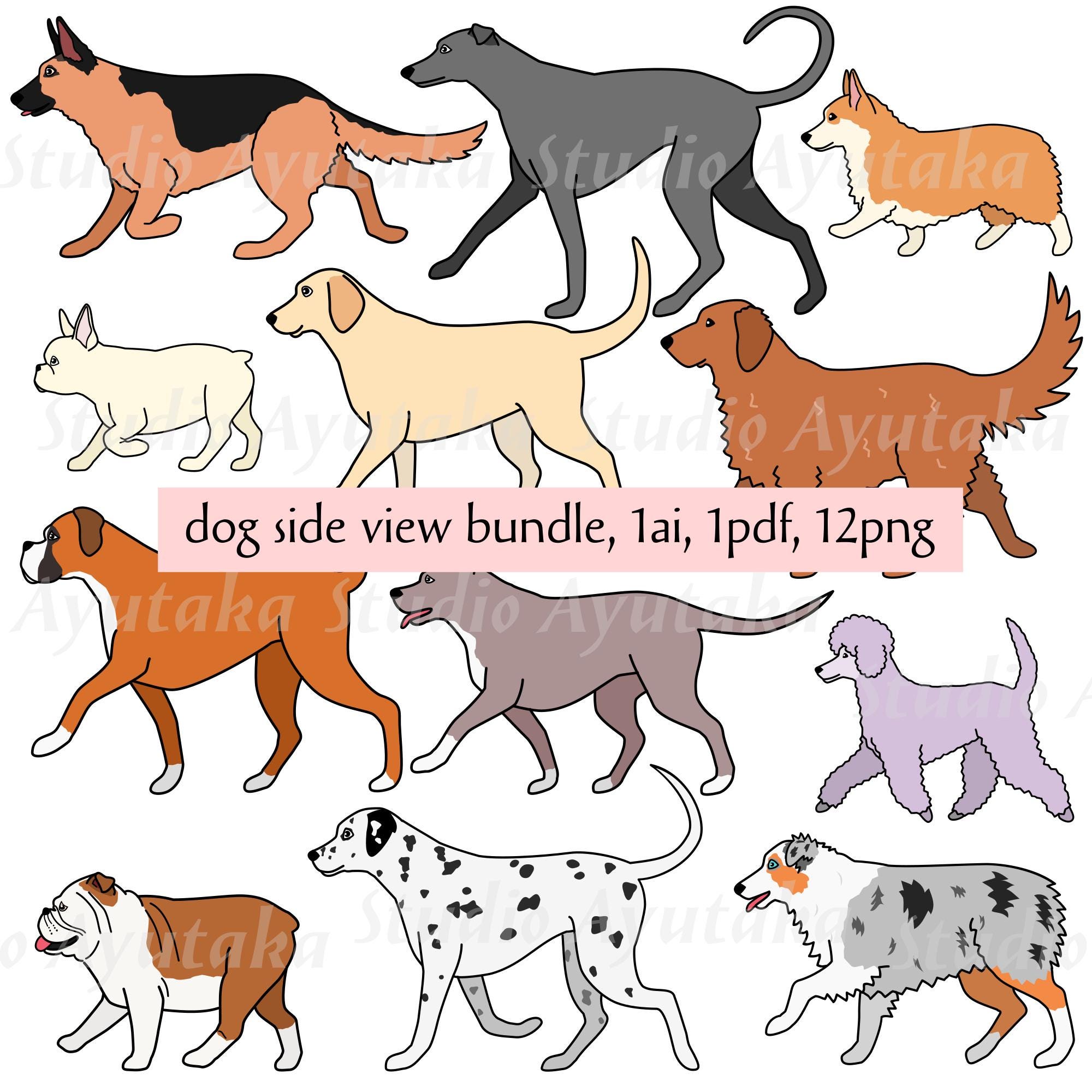 Hunde-Seitenansicht-Paket (Farbe), 1ai, 1pdf, 12png, Wanderhunde, 12 Rassen, Illustration, digitale Zeichnung, handgefertigt