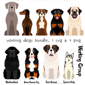 Arbeitshunde-Bundle, SVG, PNG, handgefertigt, Illustration, digitale Zeichnung