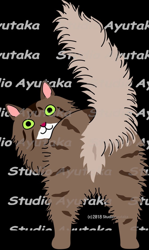 cats breeds , svg, png, jpg, 16*20