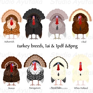 turkey breeds, ai, pdf, png