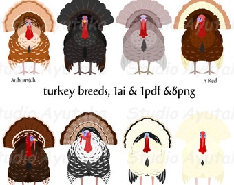 May include: Illustration of ten different turkey breeds, including Auburn, Bronze, Narragansett, Royal Palm, White Holland, and Red. The turkeys are depicted in a cartoon style with detailed feather patterns and realistic colors.