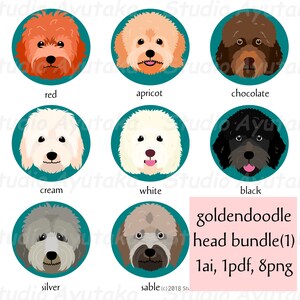 8 Goldendoodle-Köpfe Bundle(1), ai, pdf, png, Illustration, digitale Zeichnung, handgefertigt