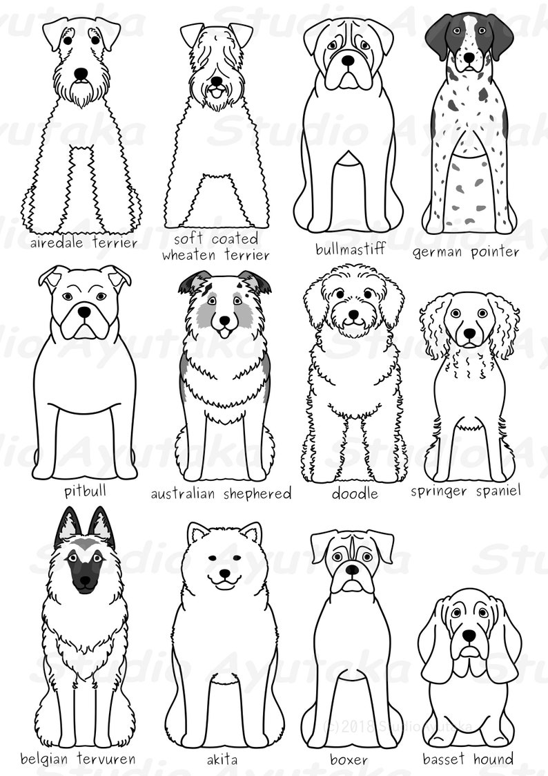 12 Dogs Line Art Bundle5 Svg Png | Etsy