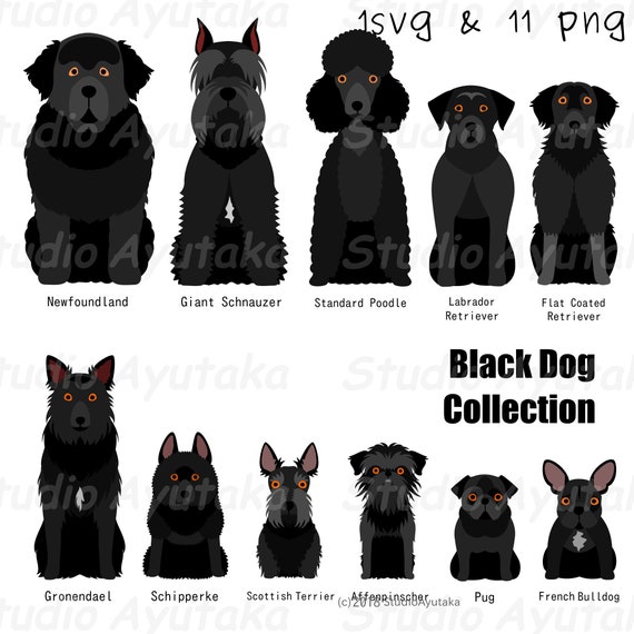 black dog collection svg png