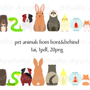 10 home pet animals front & back bundle, png, ai, pdf 画像 1