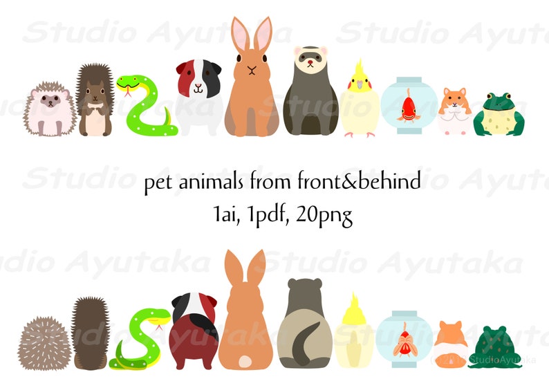 10 home pet animals front & back bundle, png, ai, pdf 画像 1