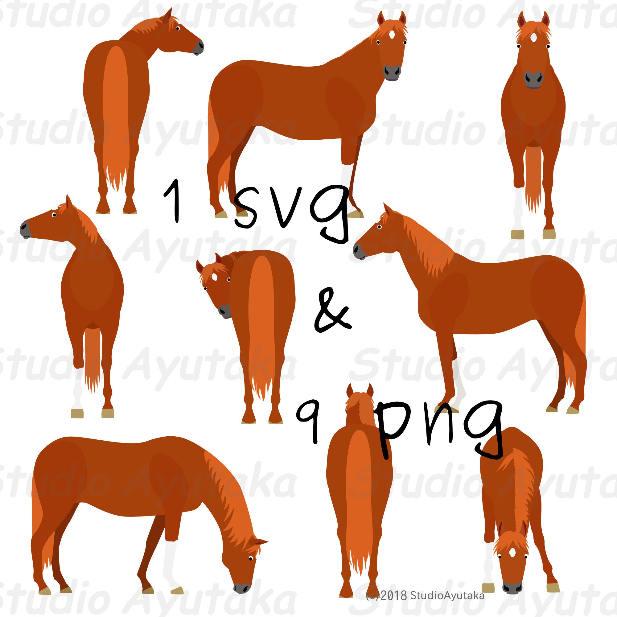 horse pose reference