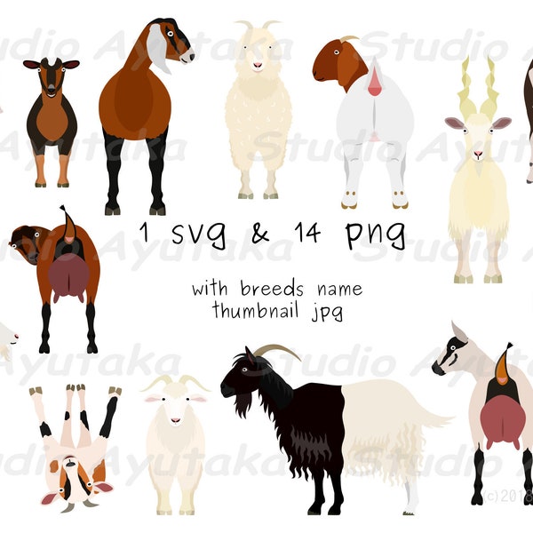 14 breeds of goats bundle, svg, png