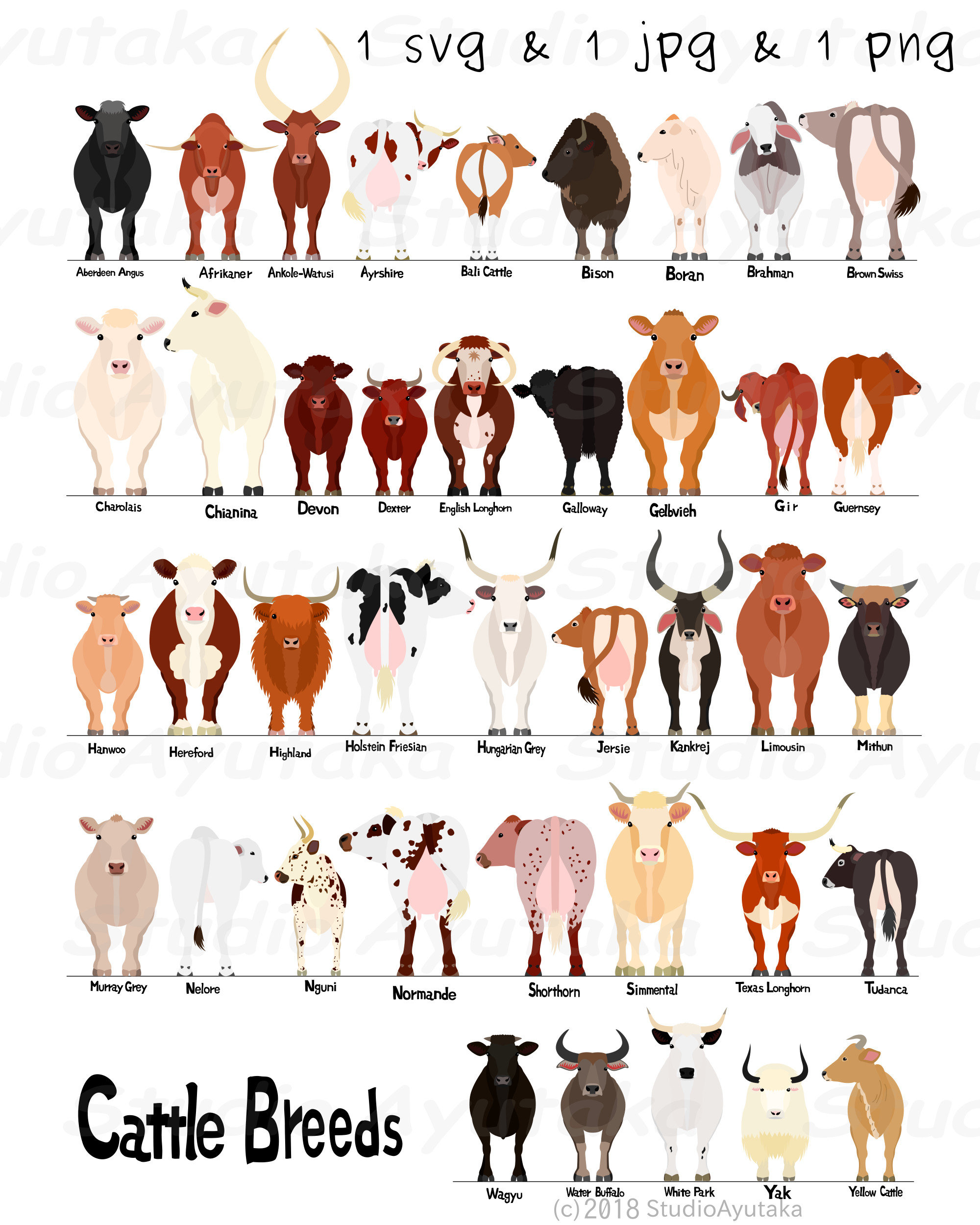 Dairy Cow Chart