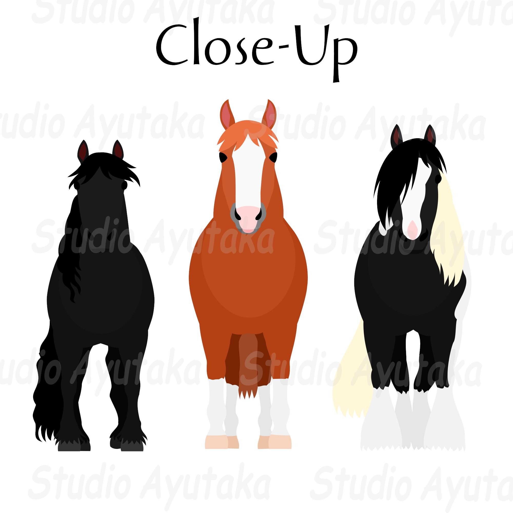 Diverses Couleurs De Cheval Illustration de Vecteur - Illustration du cheval, ferme: 96778649