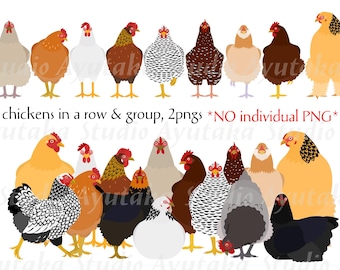 Reihe von Reihen und Gruppen von Hühnern, *Nur PNG-Datei*, Illustration, digital, handgezeichnet