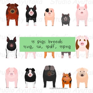 Paquete de 15 razas de cerdos, svg, pdf, ai, png, ilustración, dibujo digital, hecho a mano