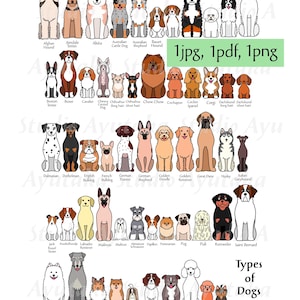 Hundearten-Diagramm, Cartoon-Hundediagramm, digitales Design, jpg, pdf, png, 16*20'', Illustration, digitale Zeichnung, handgefertigt