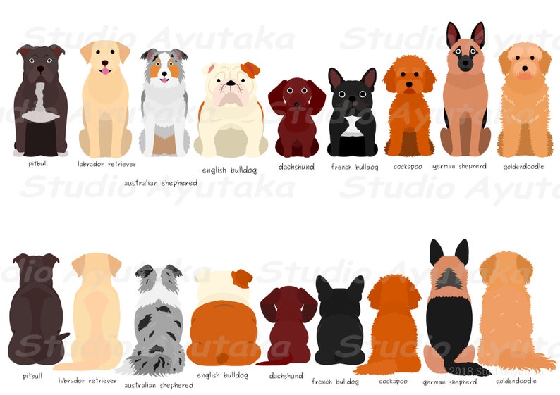 9 dogs sitting front & back color bundle, svg, png 画像 4