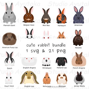 20 rabbit breed bandle, svg, png