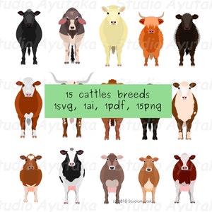 15 breeds of cows bundle, svg, pdf, ai, png, illustration, digital drawing, handmade