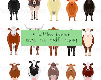 Op de afbeelding: Illustratie van 15 vee rassen in een plat ontwerp. De koeien worden getoond in verschillende kleuren en patronen, waaronder zwart, bruin, wit en beige. De afbeelding bevat de tekst "15 cattles breeds, 1svg, 1ai, 1pdf, 15png."