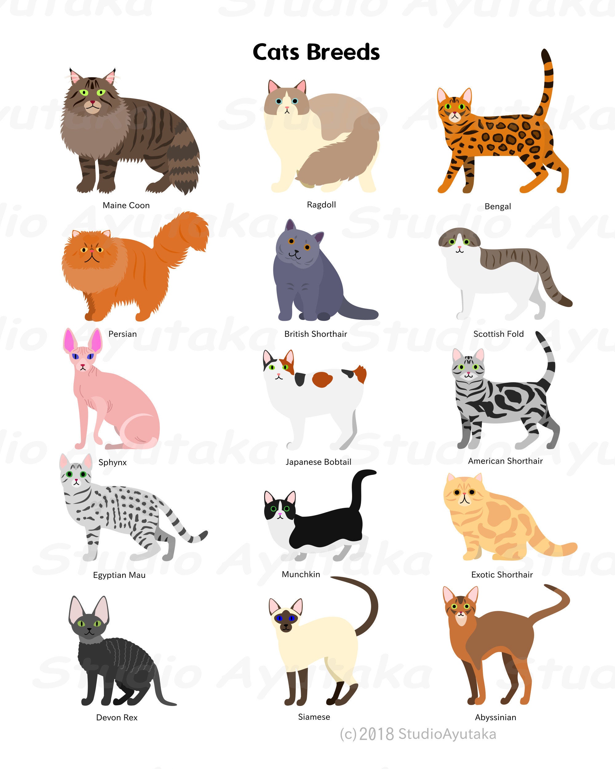 Cats Breeds Svg Png 1620 Etsy