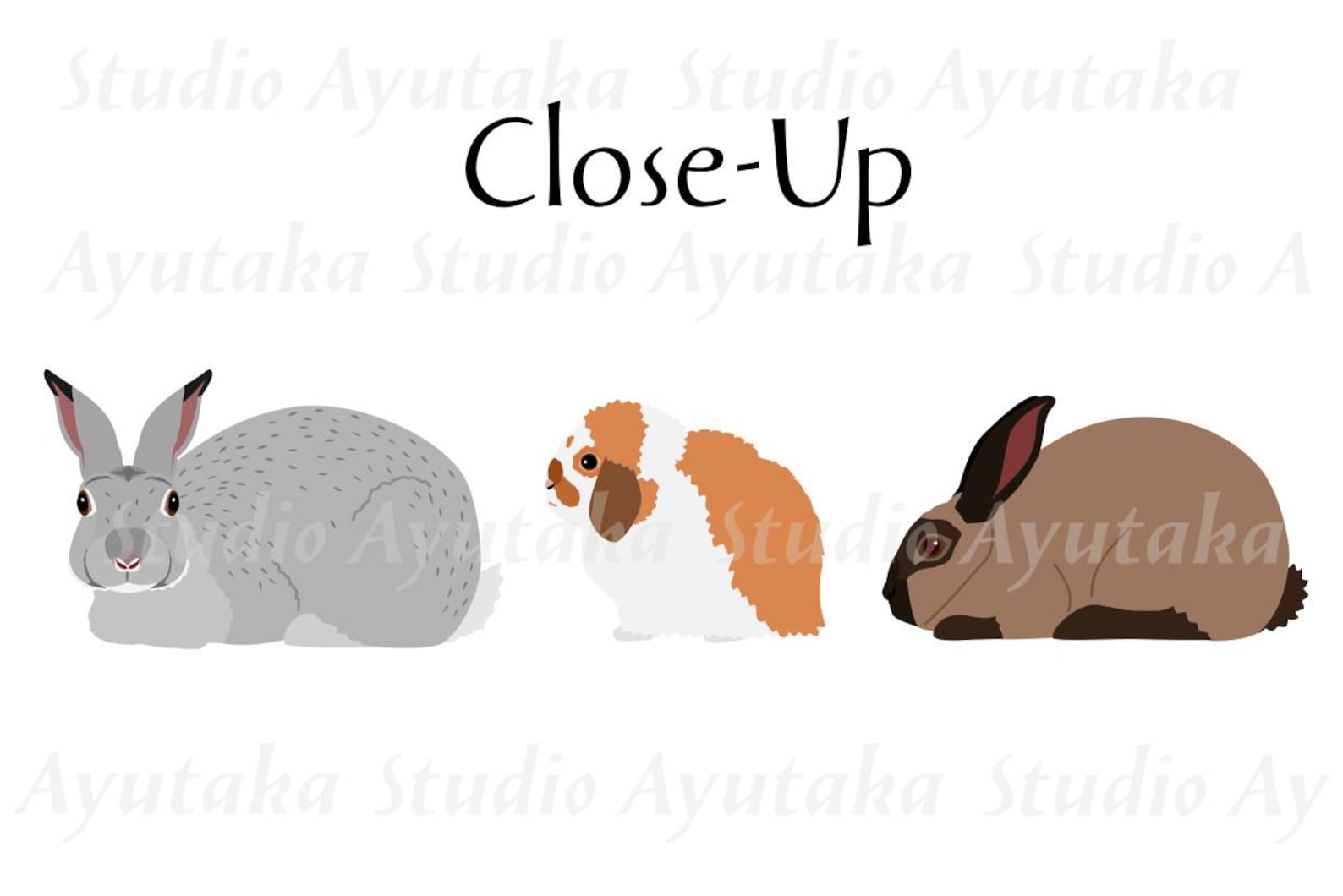 52 Rabbit Breeds Digital Chart, 16*20''printable Chart, Pdf, Png, Svg ...