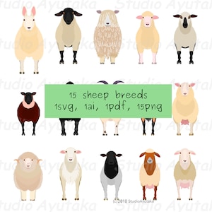 15 razze di pecore in bundle, svg, pdf, ai, png, illustrazione, disegno digitale, fatto a mano