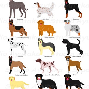 Large dogs breeds , svg, png, jpg, 16*20&#39;&#39;
