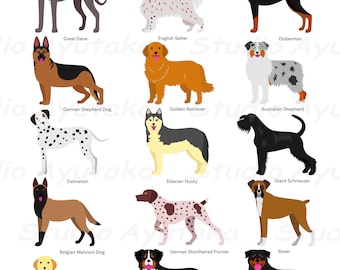 Large dogs breeds , svg, png, jpg, 16*20''