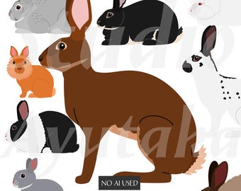 15 beliebte Kaninchenrassen SVG- & PNG-Set