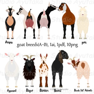 goat breeds A~B bundle,  ai, pdf, png