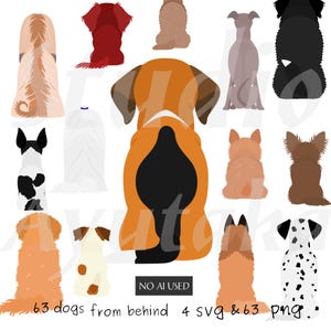 Op de afbeelding: Een digitale illustratie met verschillende hondenrassen van achteren gezien, waaronder een grote oranje en zwarte hond in het midden, een witte hond met zwarte vlekken en een pluizige gouden hond. De tekst onderaan luidt: NO AI USED 63 dogs from behind 4 svg & 63 png.
