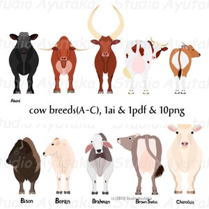 cow breed A~C bundle,  ai, pdf, png