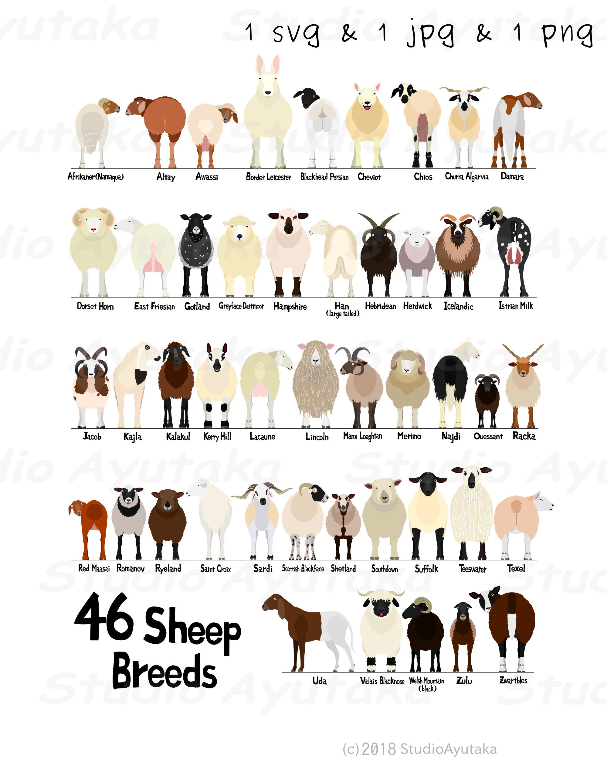 46 Breeds of Sheep Chart Svg Png Jpg 1620 - Etsy