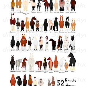 various breeds of horses chart, svg, jpg, png, 1620'' 画像 1