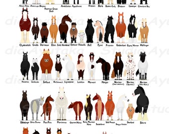 various breeds of horses chart, svg, jpg, png, 16*20''