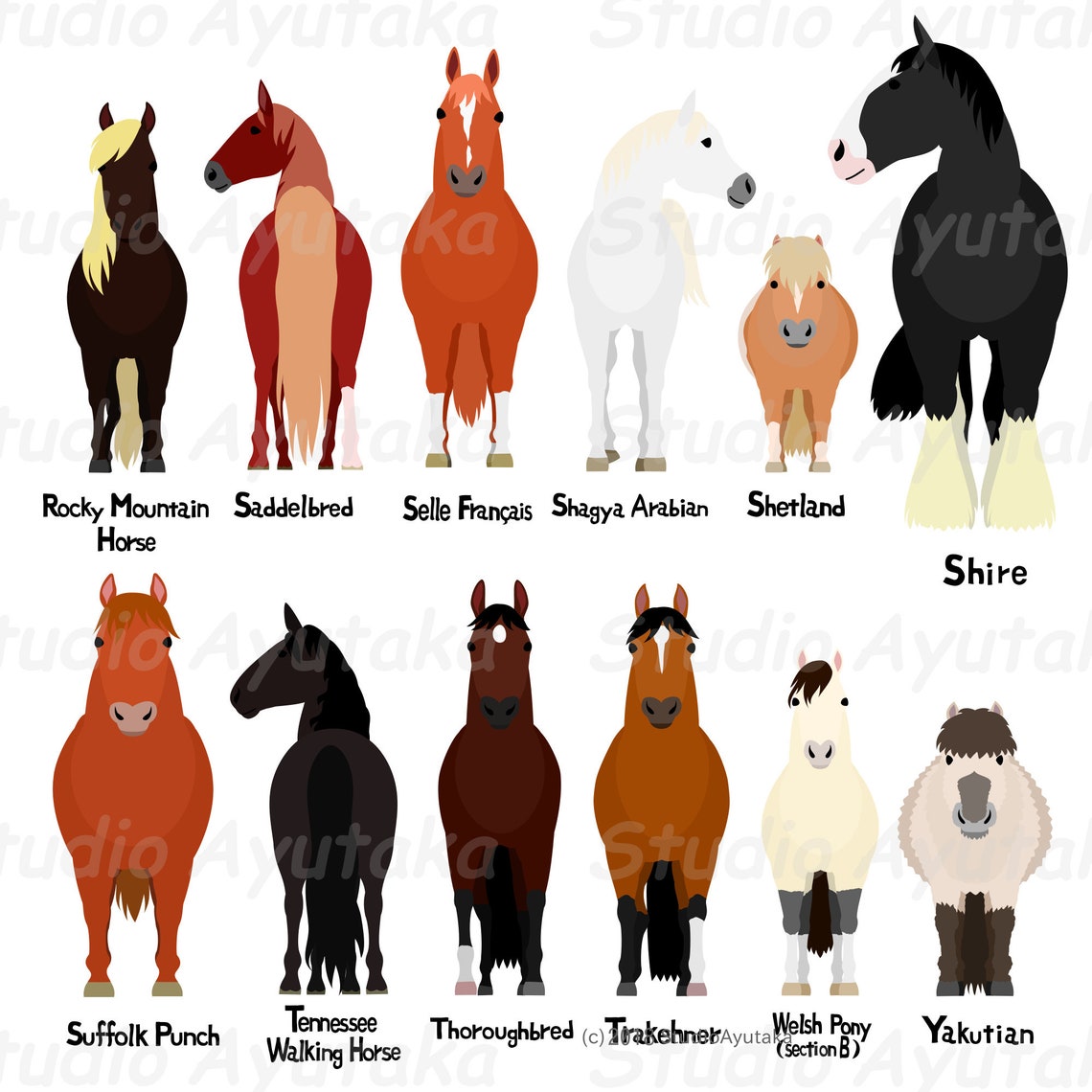 Horse Breed RY Bundle Ai Pdf Png | Etsy