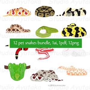 Haustierrassen-Schlangen-Bundle, ai, pdf, png, Illustration, digitale Zeichnung, handgefertigt