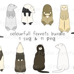11 various ferrets bandle, svg, png, illustration, digital drawing, handmade