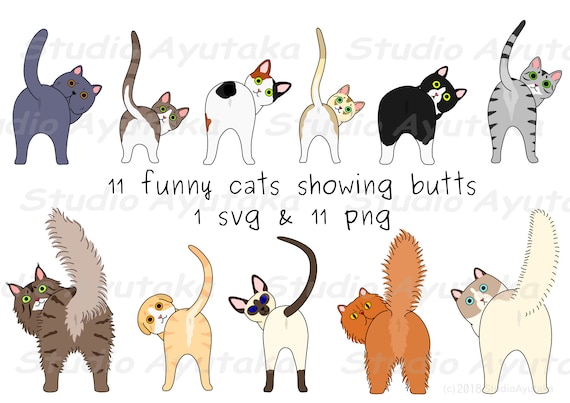 11 Funny Cats Showing Their Butts, Svg, Png -  Canada