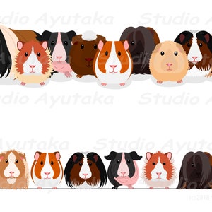 Guinea Pigs group & row bundle, ai, pdf, png 画像 2