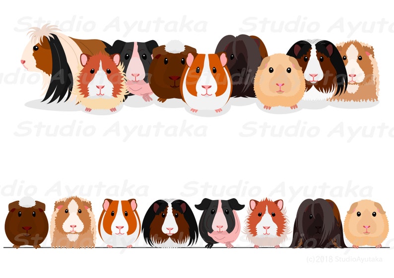Guinea Pigs group & row bundle, ai, pdf, png 画像 2