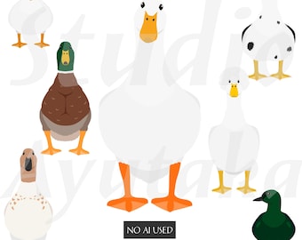 A~W 20 breed ducks big bundle, ai, pdf, png